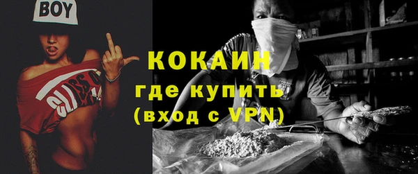 гидра Козловка