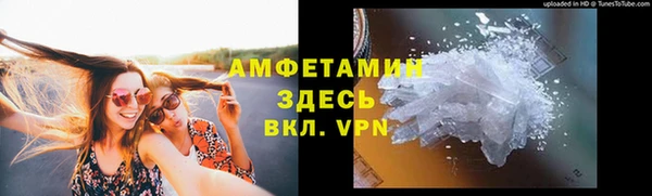 гидра Козловка