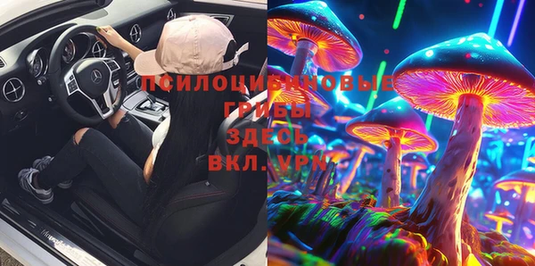 гидра Козловка