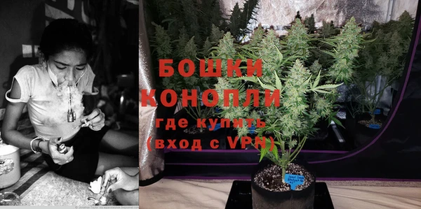 гидра Козловка
