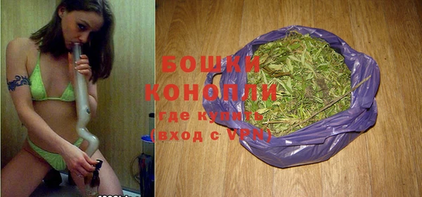 гидра Козловка