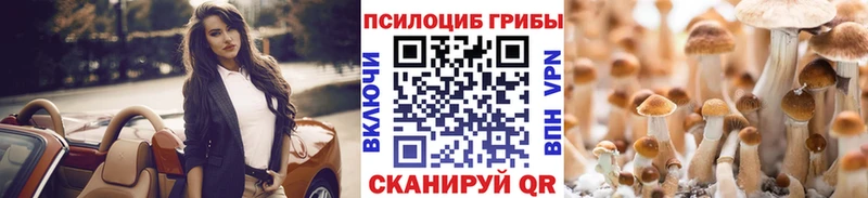 Купить где Лянтор Псилоцибиновые грибы GOLDEN TEACHER